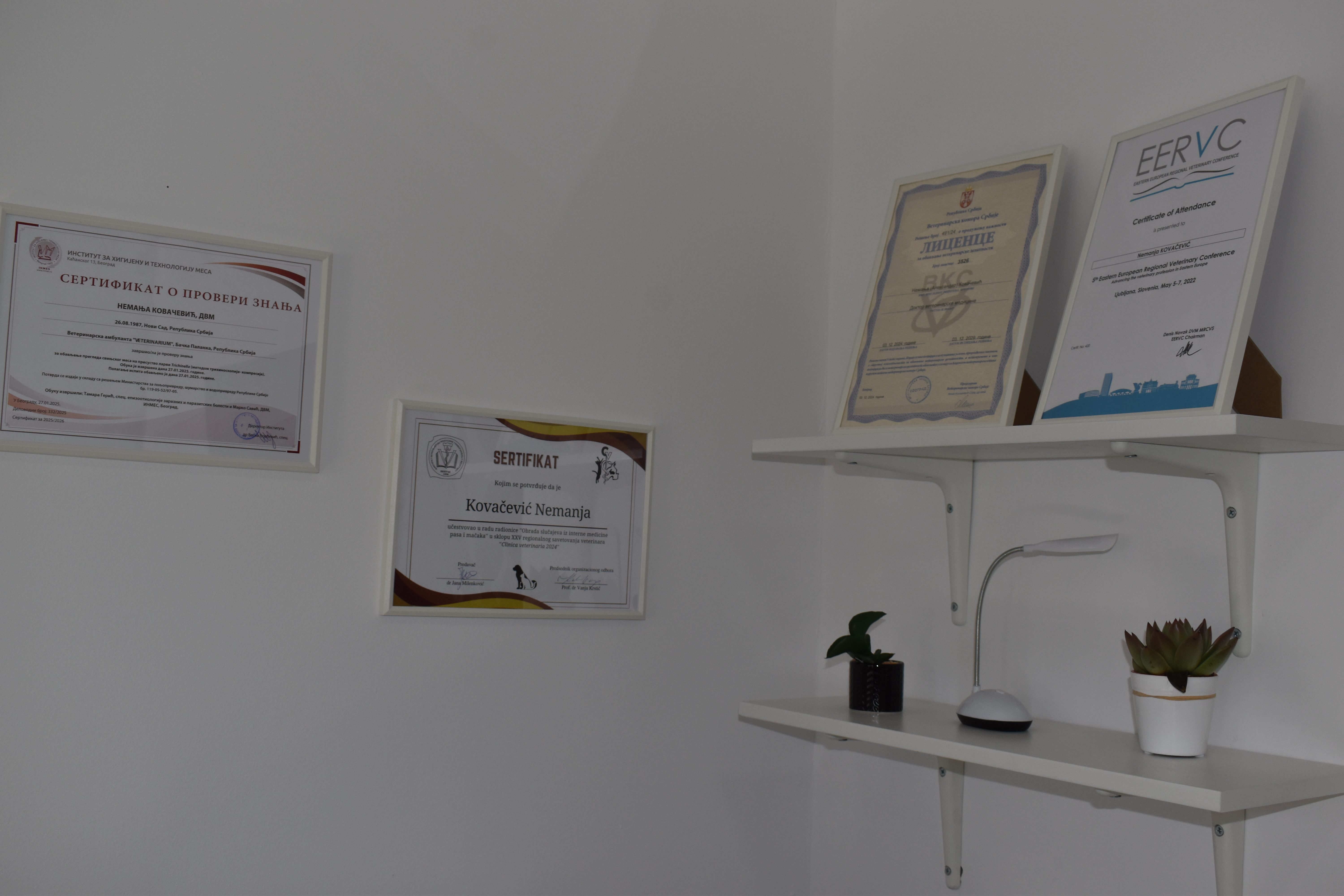 Veterinar Backa Palanka