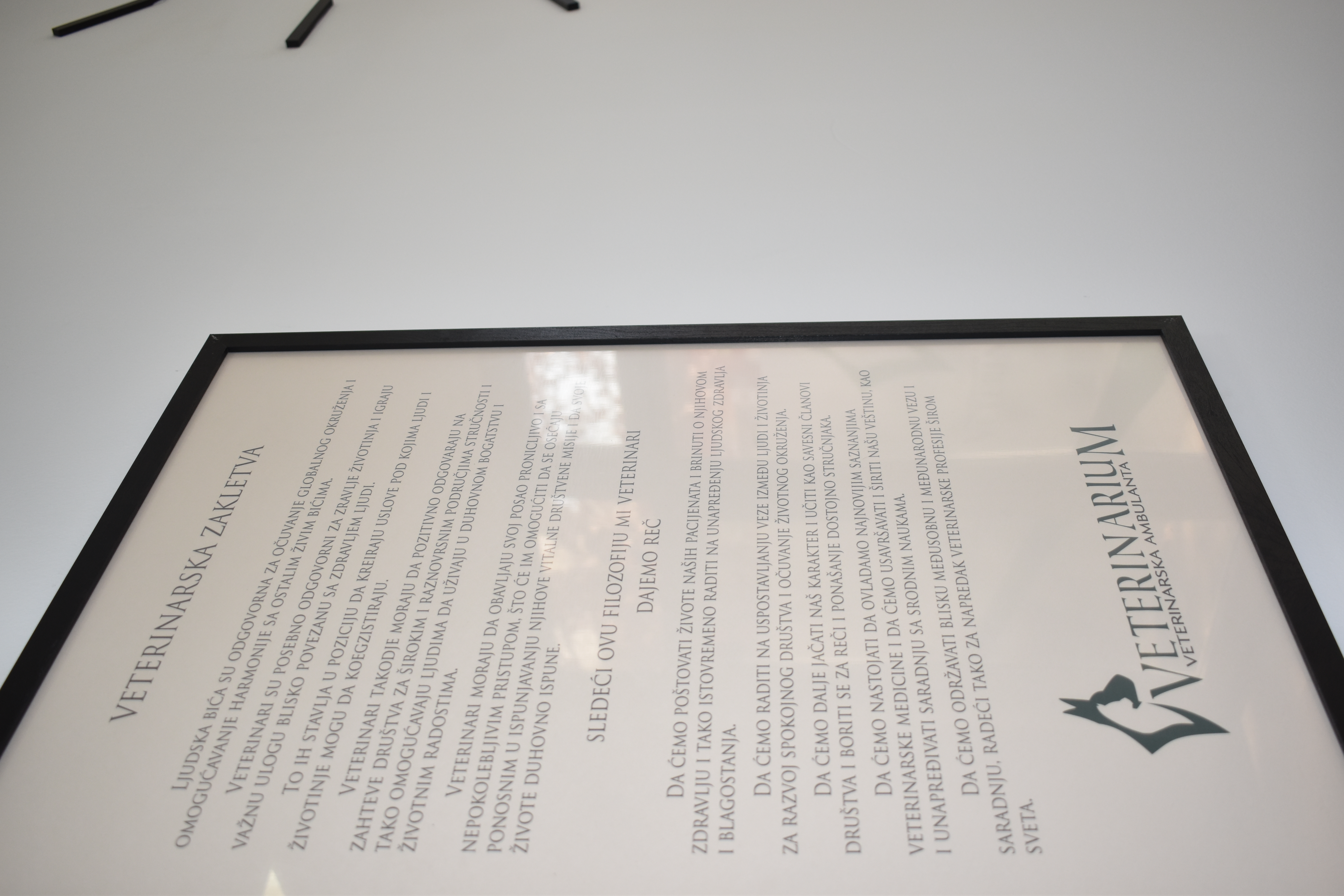 Veterinar Backa Palanka